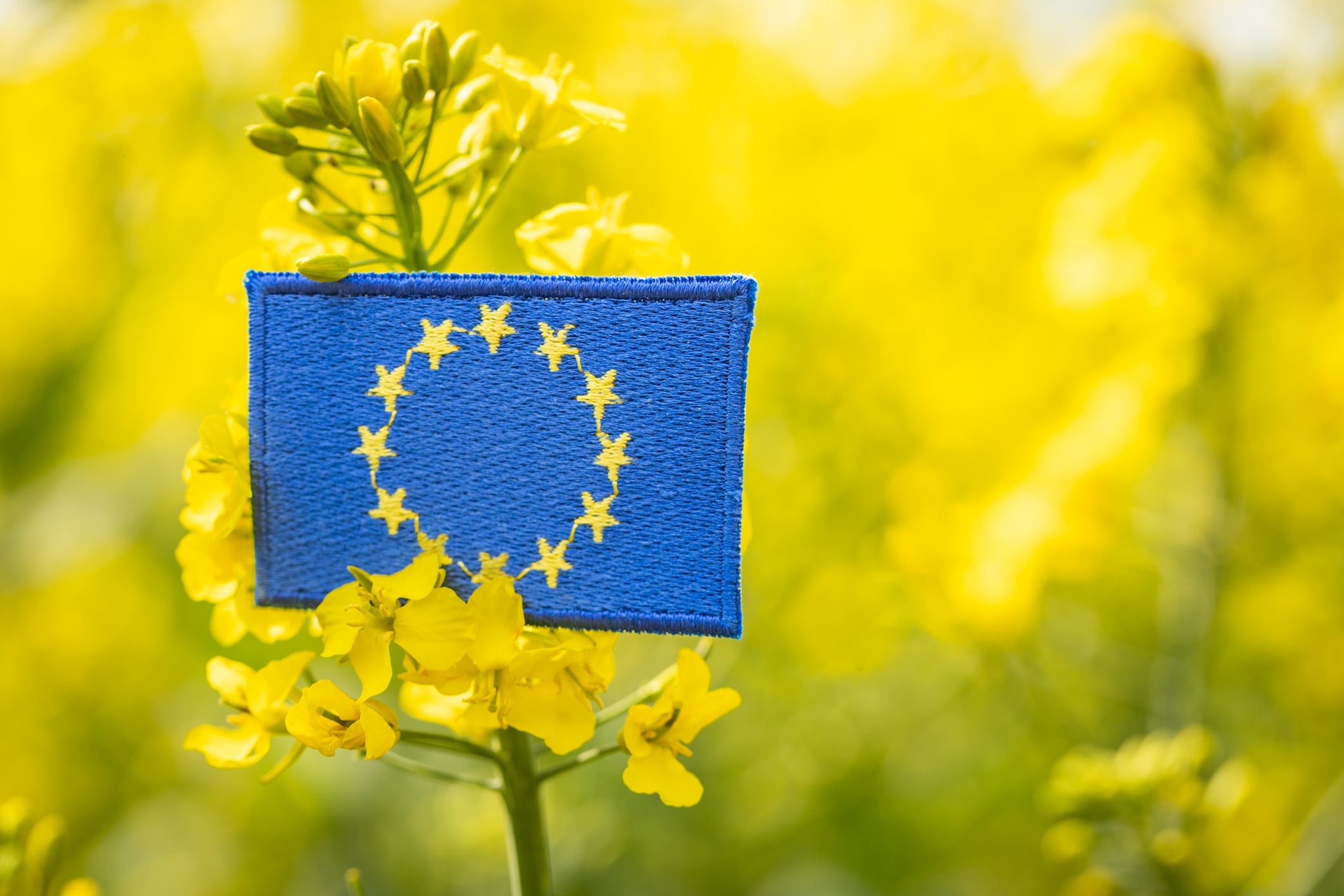 EU Biotech Act: What it means for food