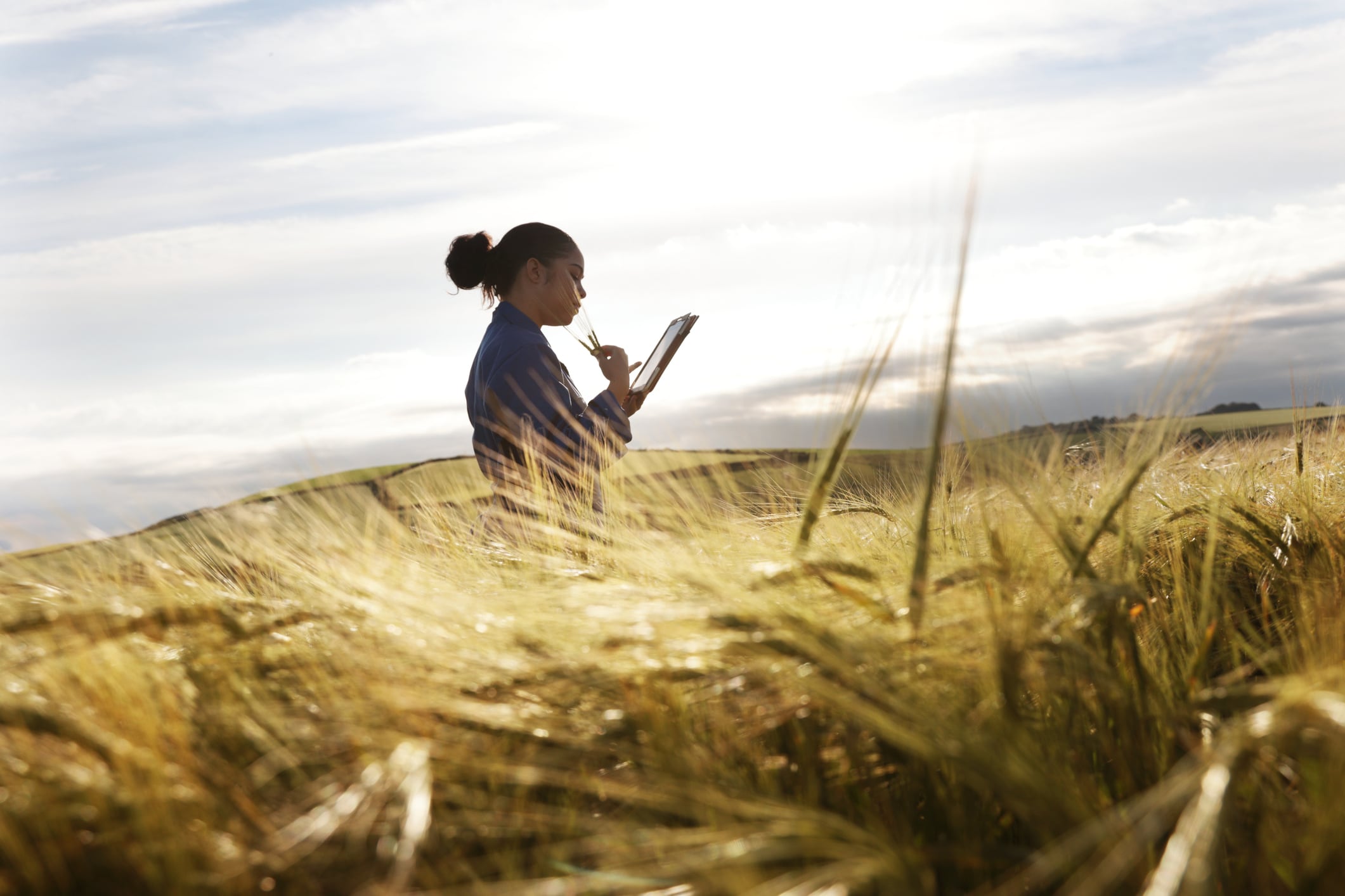 CRISPR crops: The next frontier for food security?