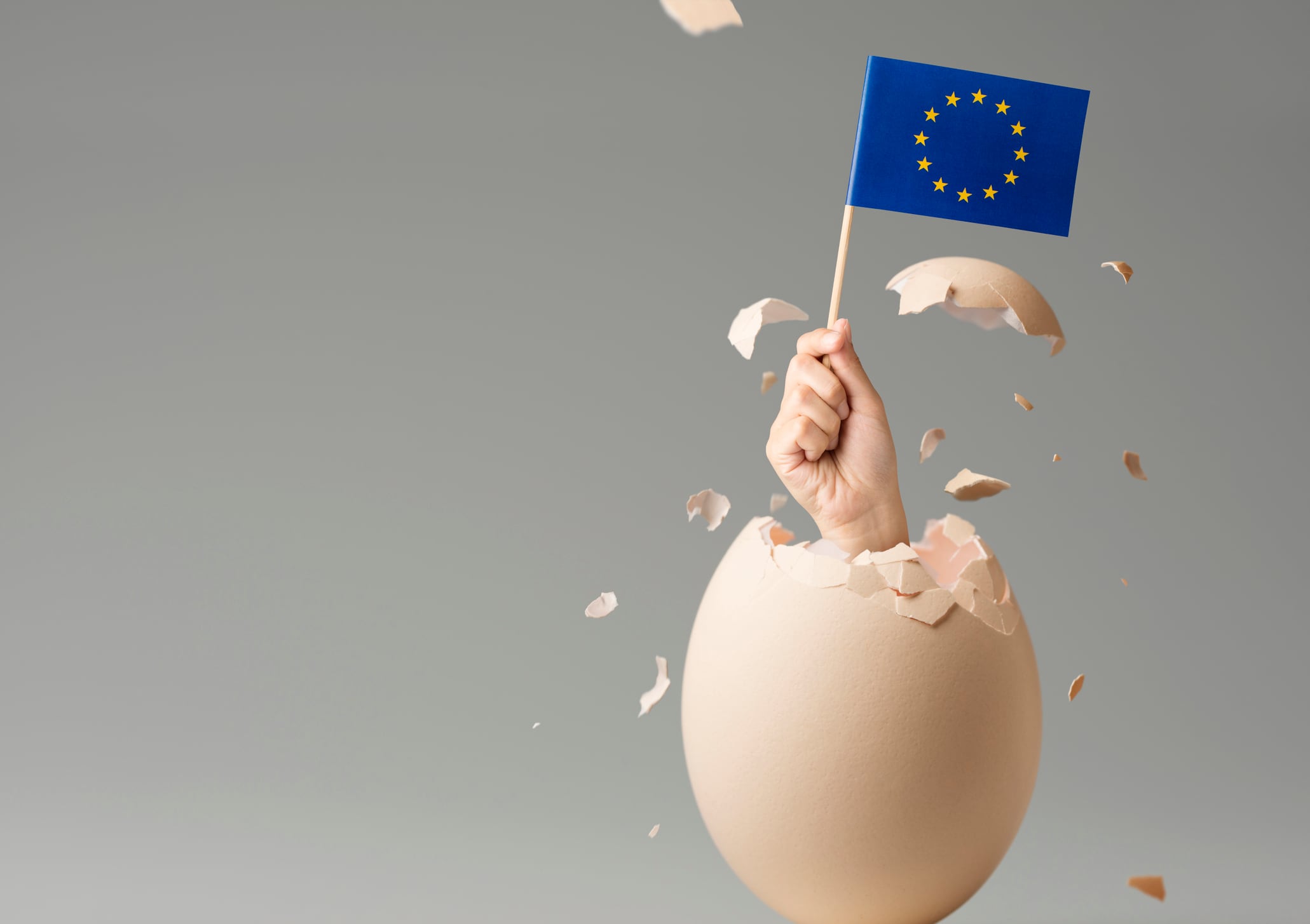 Do novel foods win or lose from the EU’s Biotech Act? 