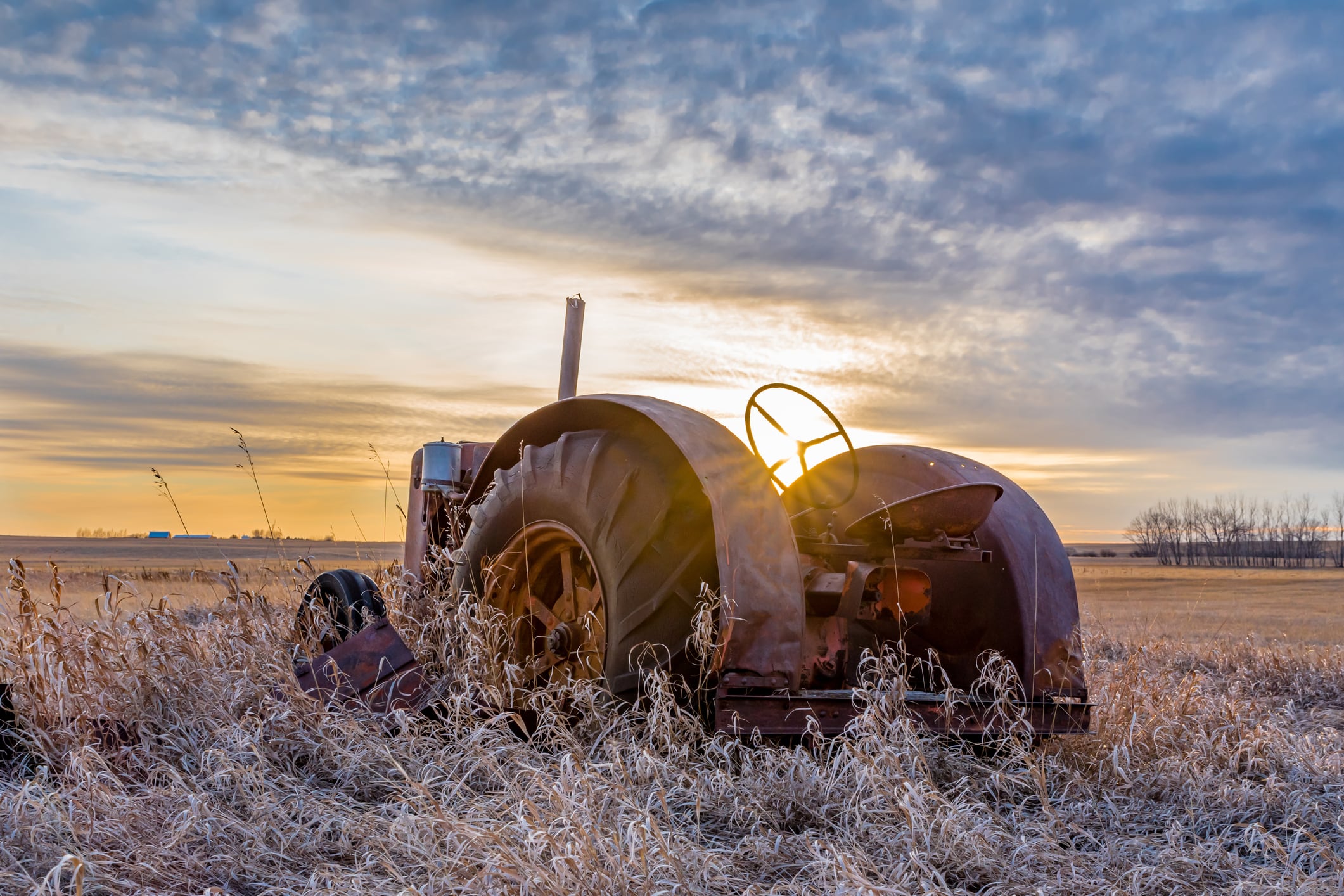 How much could the protein transition cost farmers?