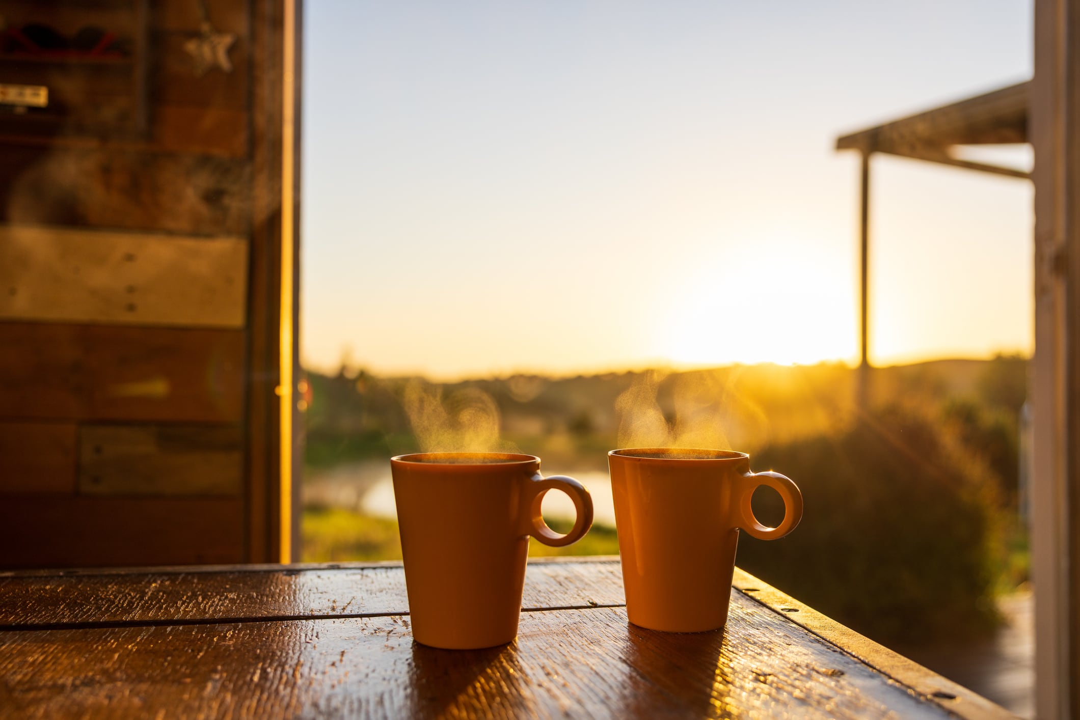 Future of coffee: How it must adapt to survive