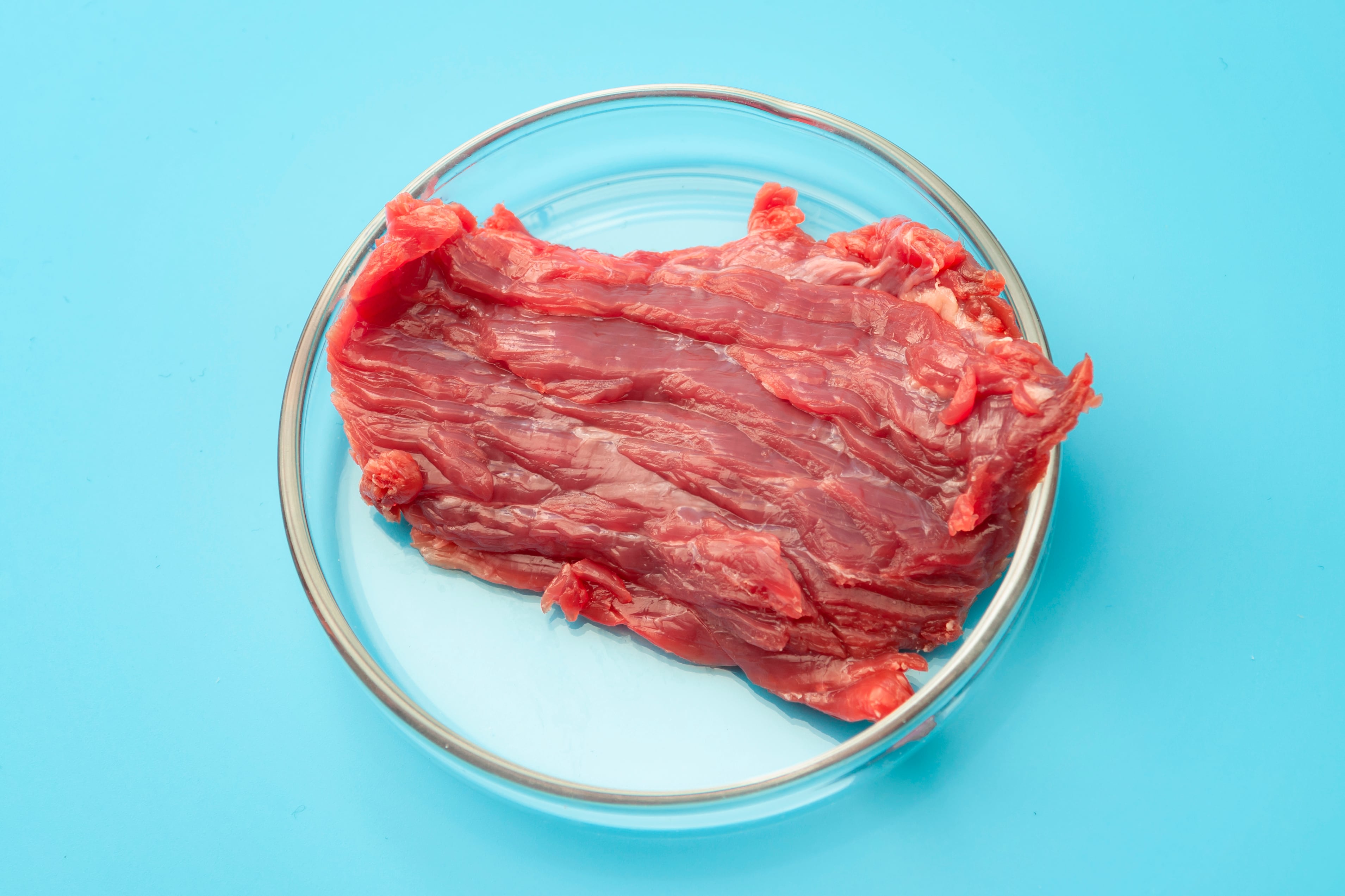 Cultivated meat guidance released in UK: 4 key takeaways 