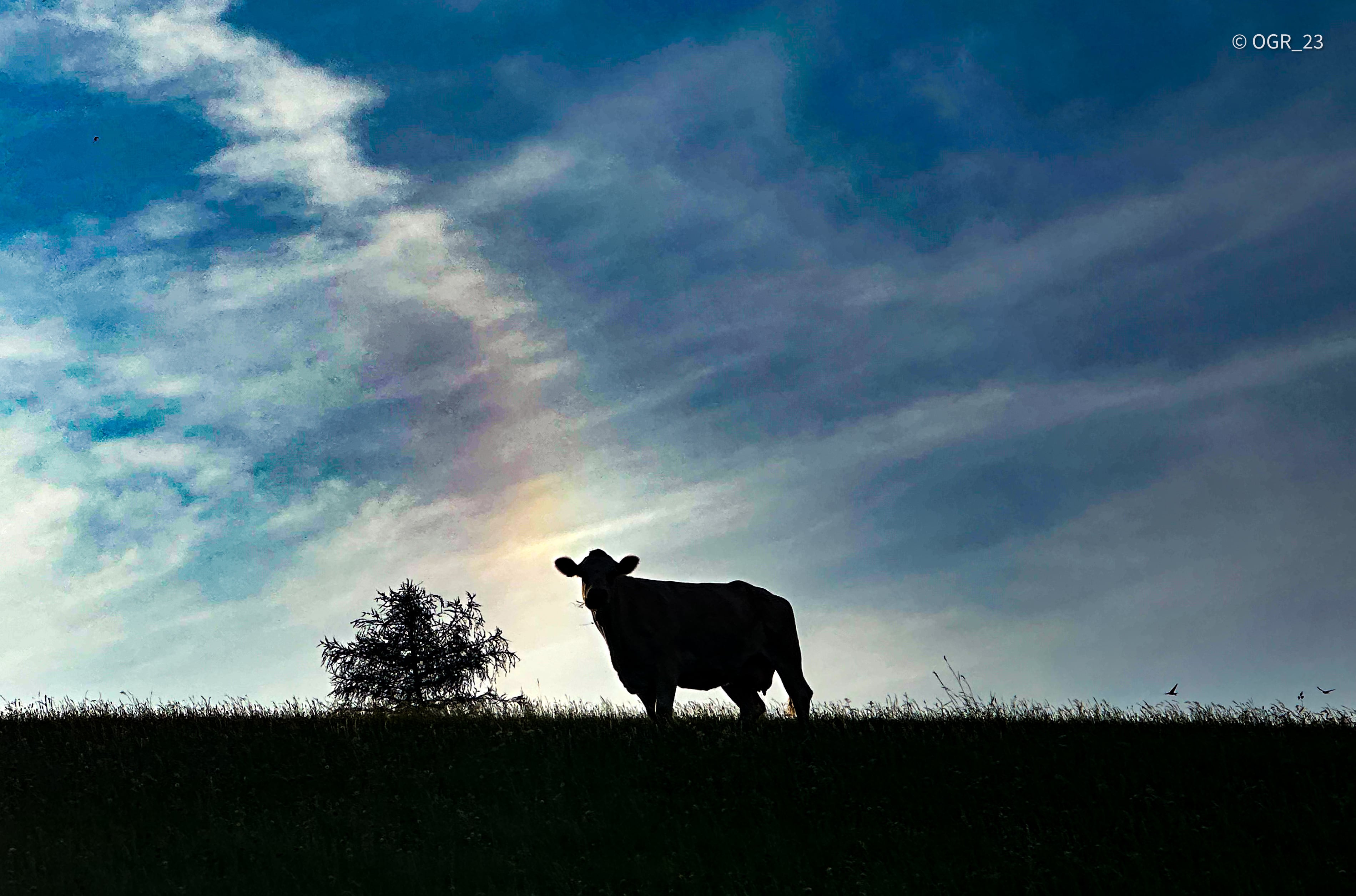Beyond Meat is now Beyond 